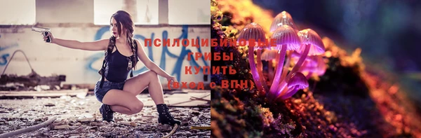 дживик Нея