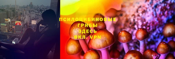 дживик Нея