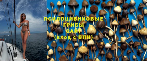шишки Нефтегорск