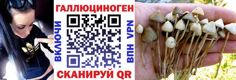 ОМГ ОМГ ССЫЛКА  Владикавказ  Псилоцибиновые грибы MAGIC MUSHROOMS 